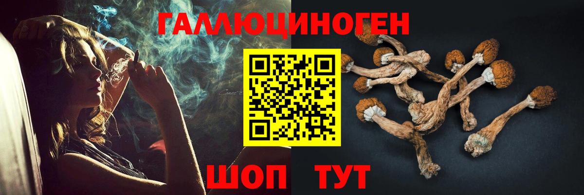 Галлюциногенные грибы Cubensis  Галлюциногенные грибы мицелий  Вход с VPN  Качканар 