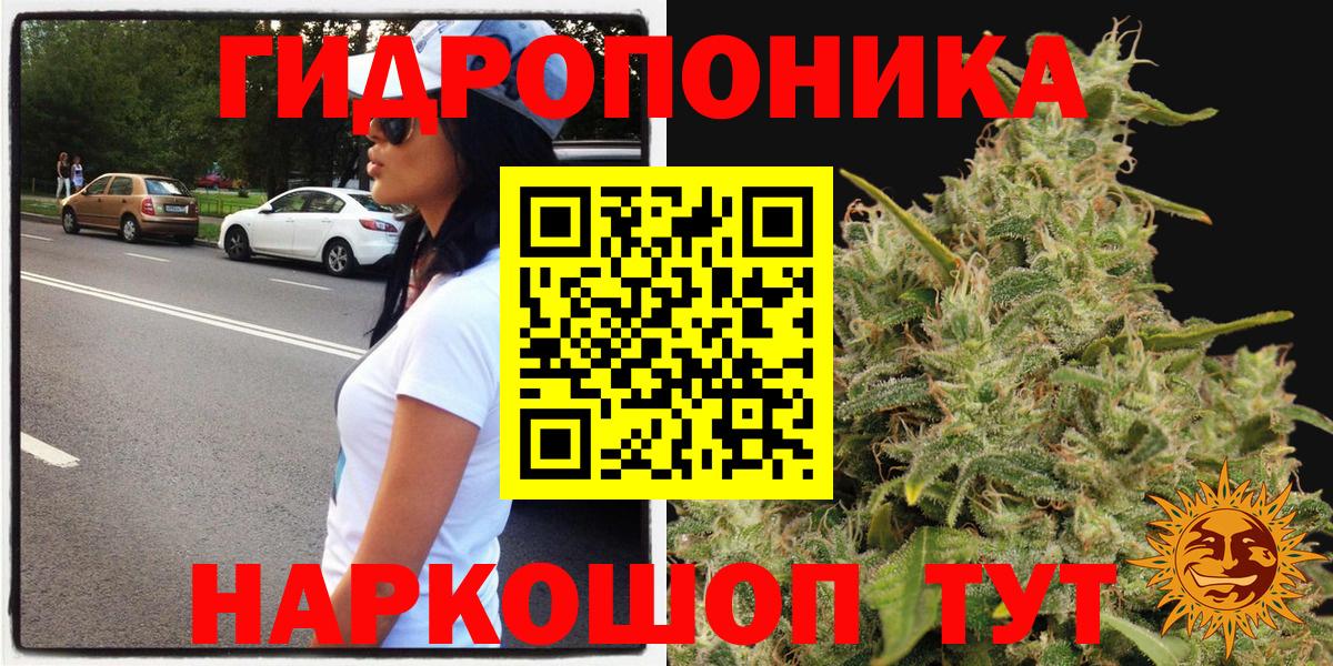 МАРИХУАНА Bruce Banner Качканар